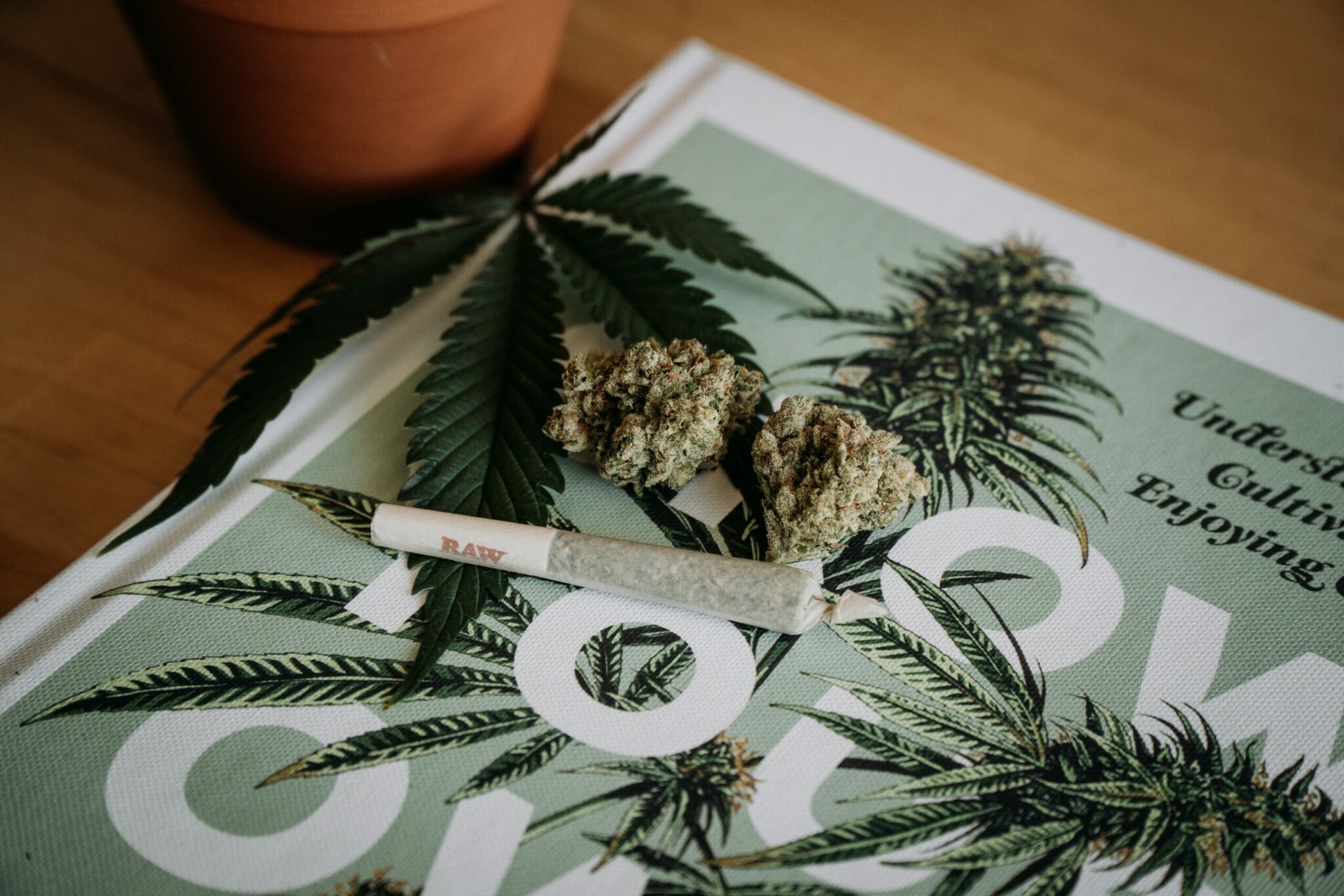 What to Know About Weed Delivery Services - How to Order Weed Online
